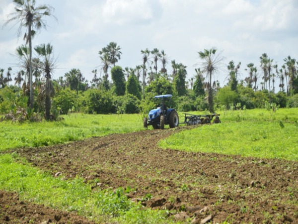 811 agricultores caucaienses já podem retirar o boleto do programa Garantia Safra na SDR